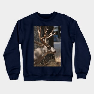 Black-Tailed Deer Crewneck Sweatshirt